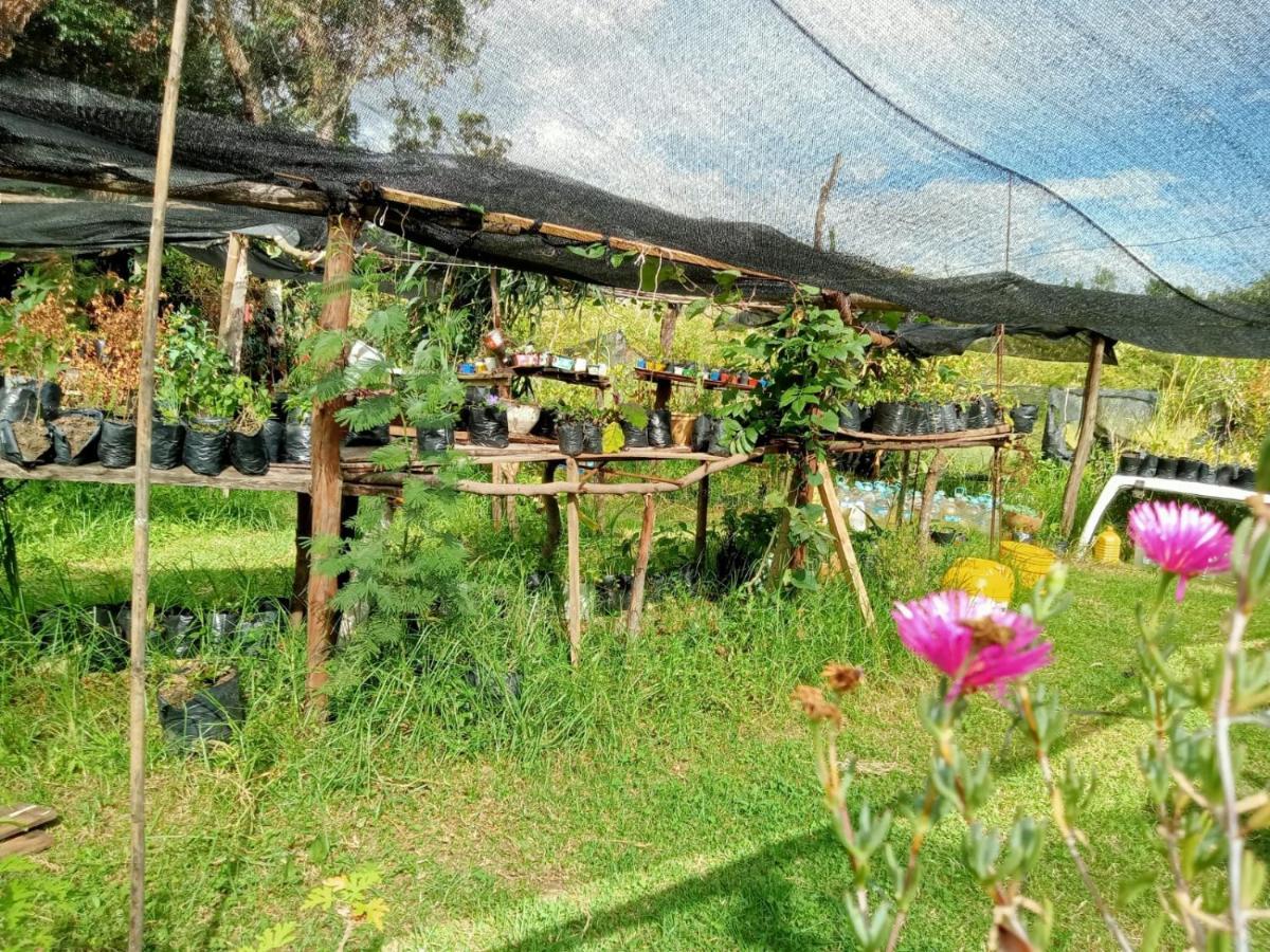 Maison d'hôtes Hospedaje Y Zona De Camping Pistacho à Villa de Leyva Extérieur photo