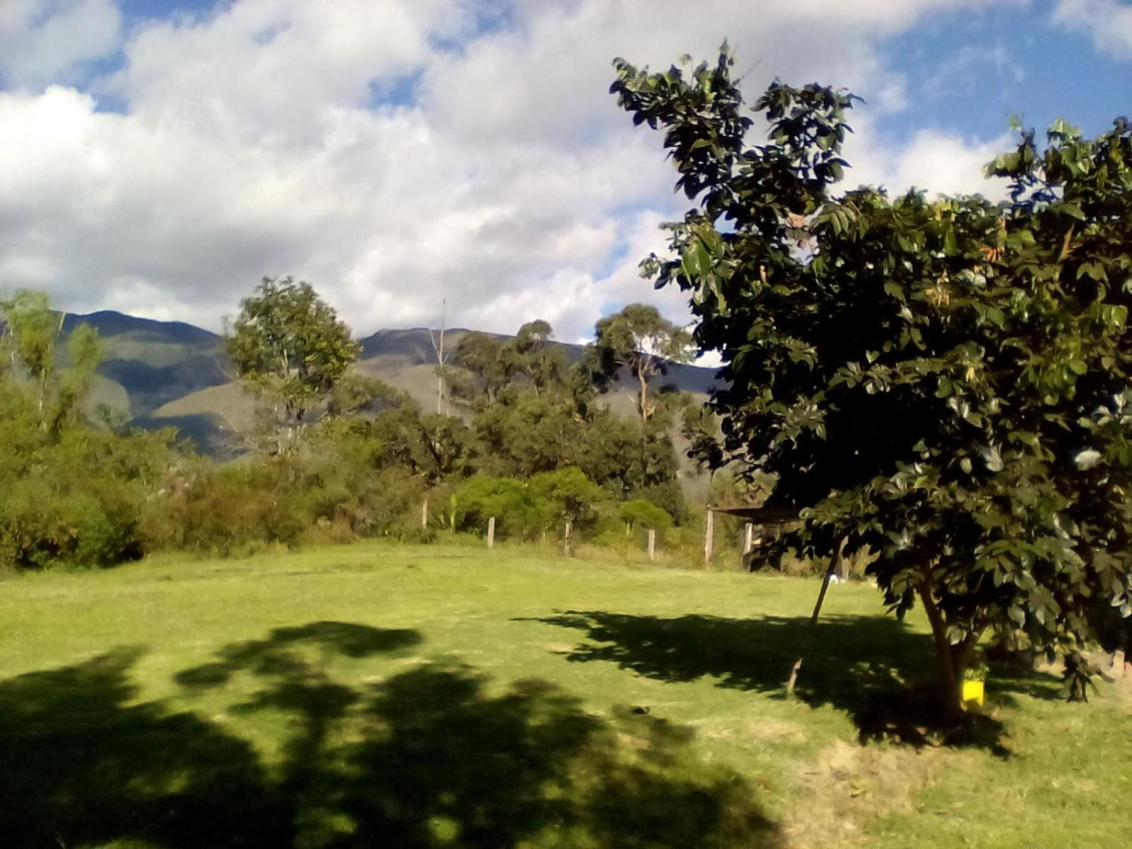 Maison d'hôtes Hospedaje Y Zona De Camping Pistacho à Villa de Leyva Extérieur photo